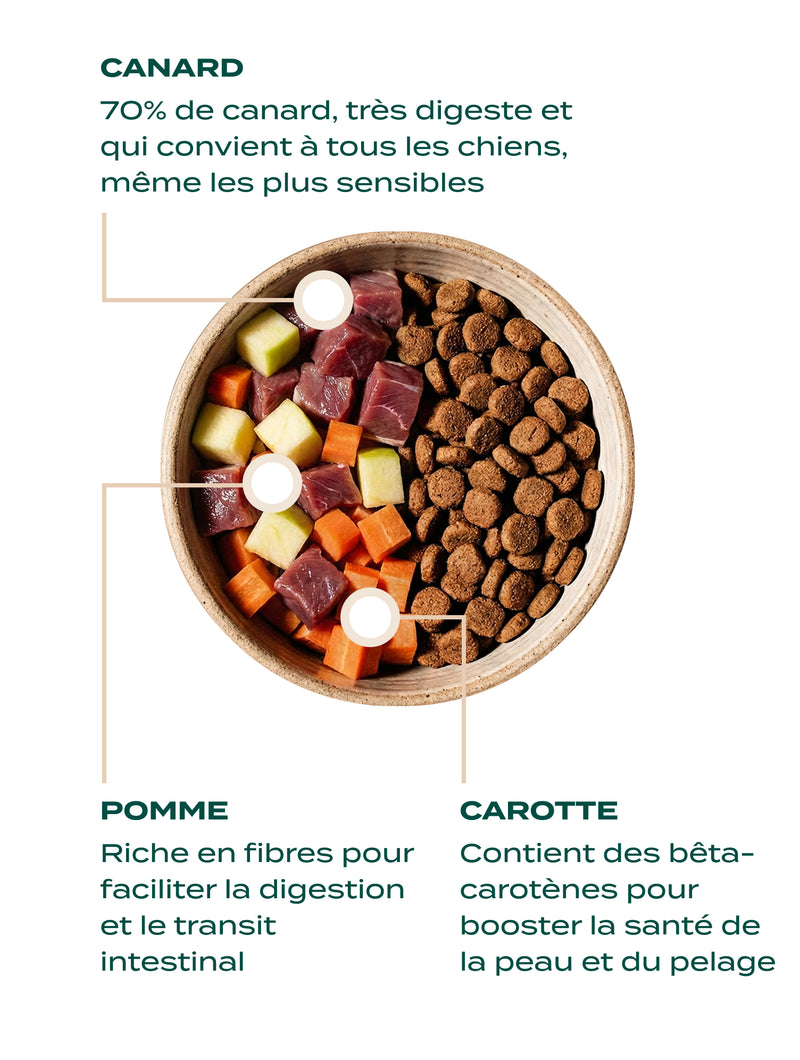 CROQUETTES - CROQUETTES