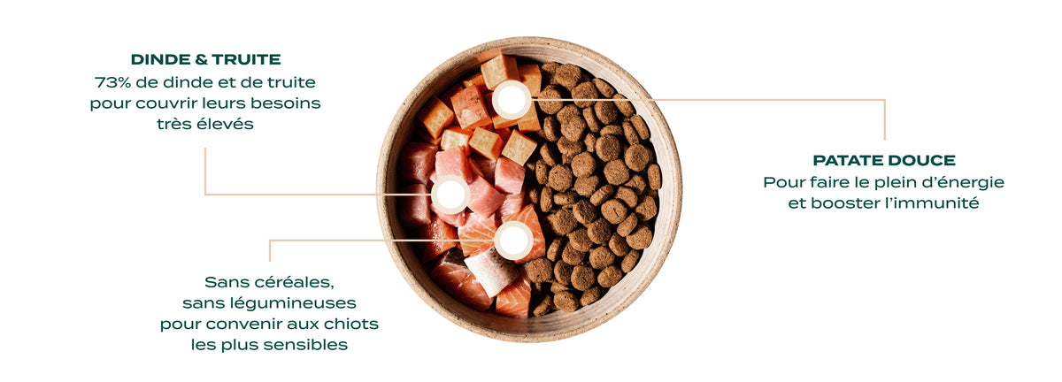 CROQUETTES - CROQUETTES