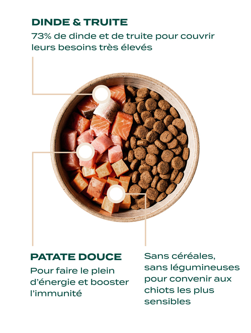 CROQUETTES - CROQUETTES