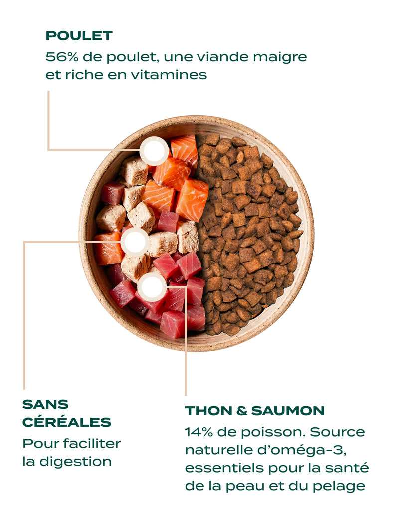 CROQUETTES - CROQUETTES