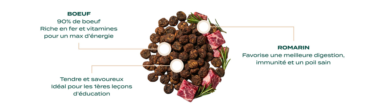 FRIANDISES - FRIANDISES