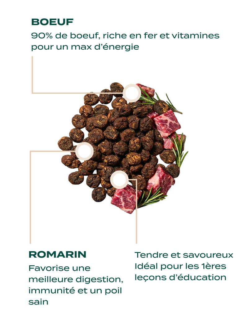 FRIANDISES - FRIANDISES