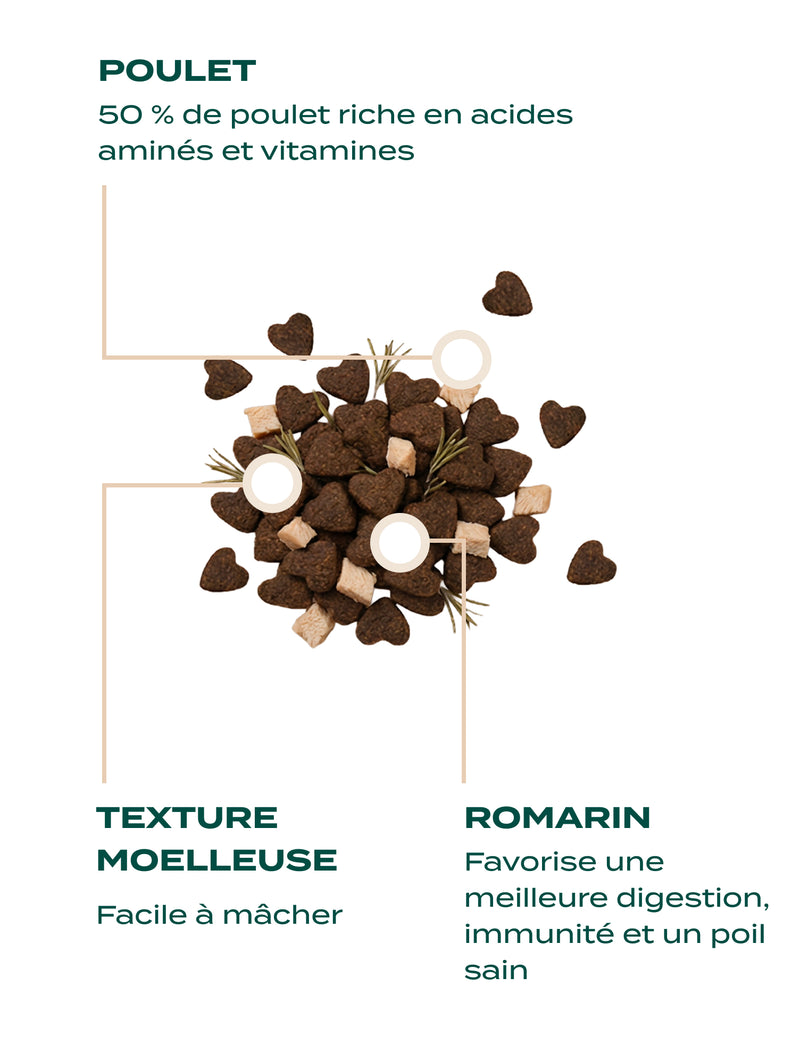 FRIANDISES - FRIANDISES