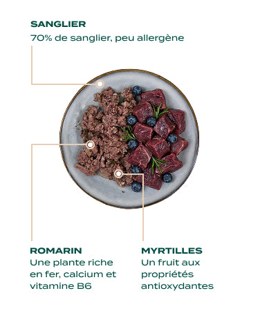 PÂTÉE - PÂTÉE