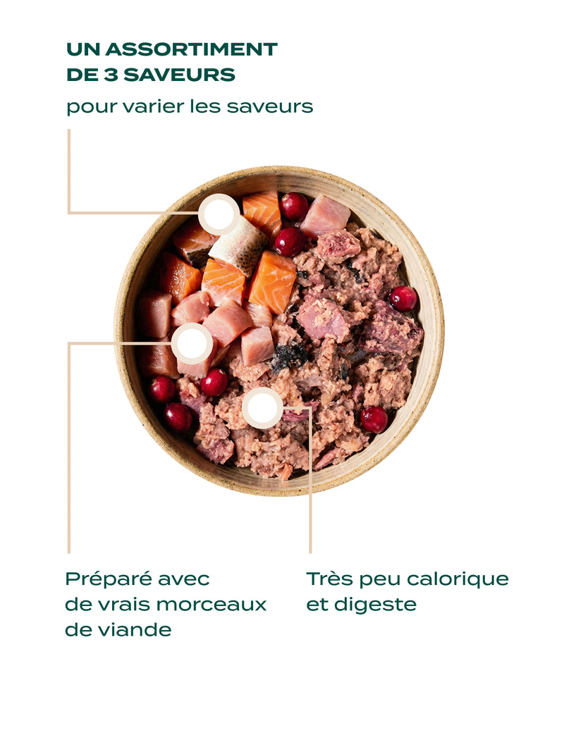 PÂTÉE - PÂTÉE