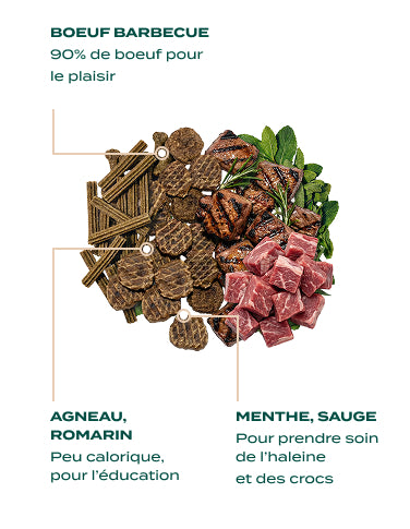 FRIANDISES - FRIANDISES