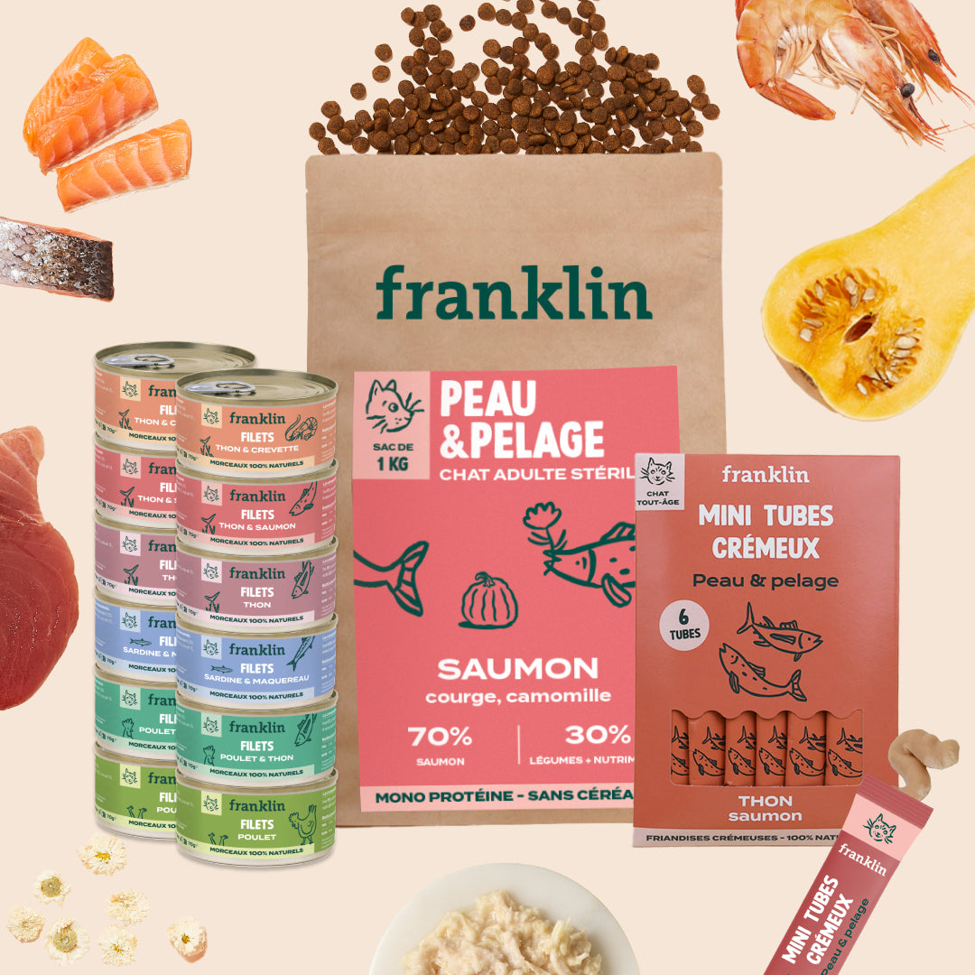 PACK ANTI-ALLERGIE CHAT