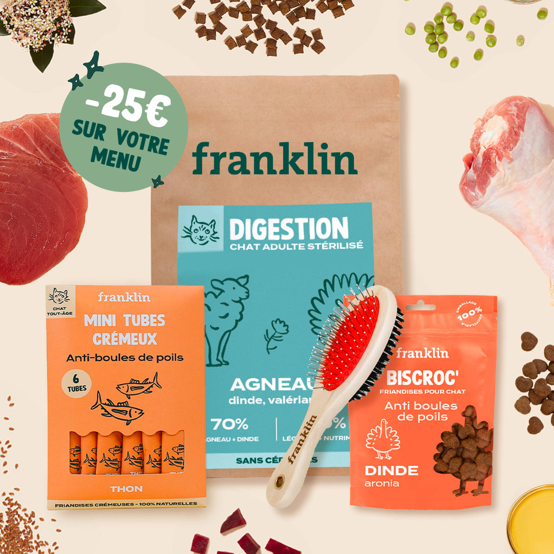 PACK ANTI-BOULES DE POILS POUR CHAT