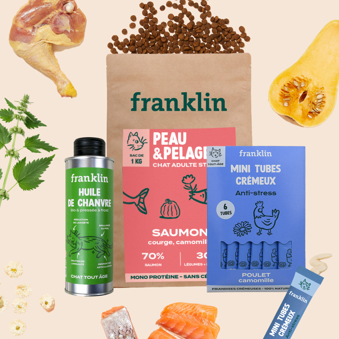 PACK ANTI-STRESS CHAT