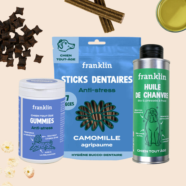 pack-anti-stress-chien