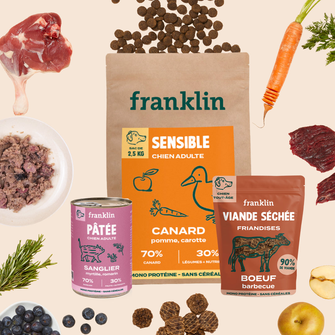 PACK CHIEN DIFFICILE