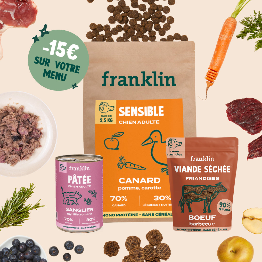 PACK POUR CHIEN DIFFICILE