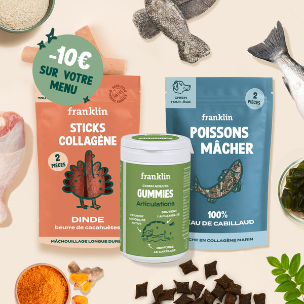 pack-pour-chien-au-collagene