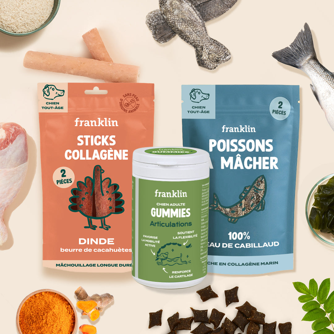 PACK COLLAGÈNE CHIEN