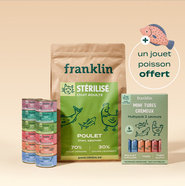 pack-decouverte-chat