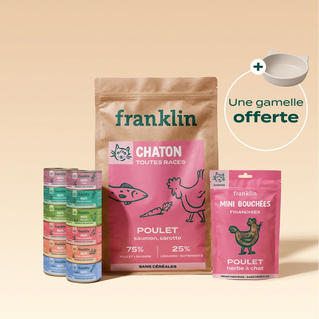 PACK DÉCOUVERTE CHATON