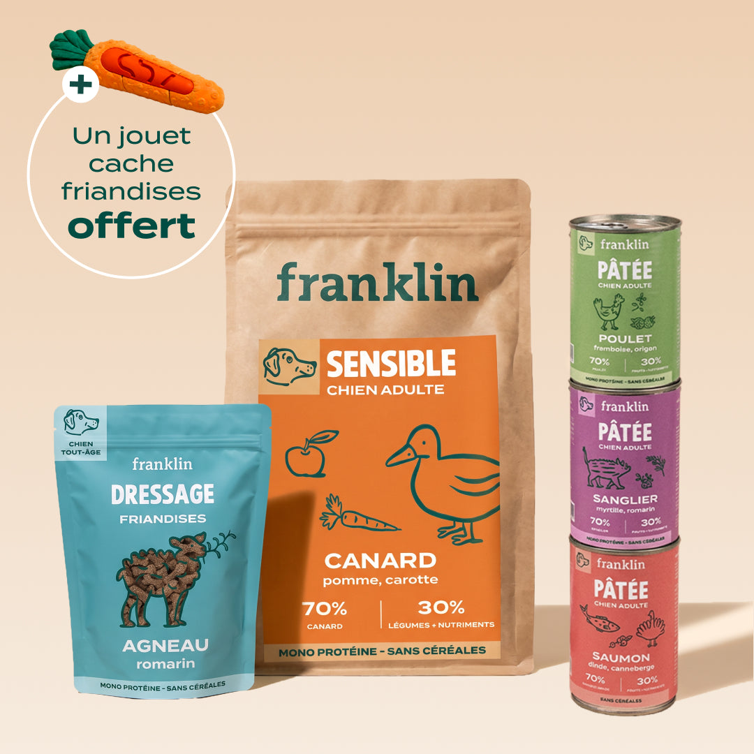 PACK DÉCOUVERTE CHIEN