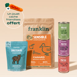 PACK DÉCOUVERTE CHIEN