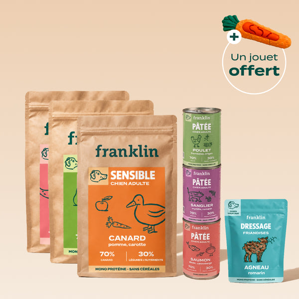 pack-decouverte-chien