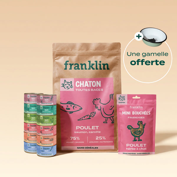 pack-decouverte-chaton