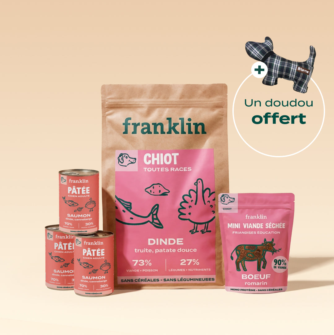 PACK DÉCOUVERTE CHIOT