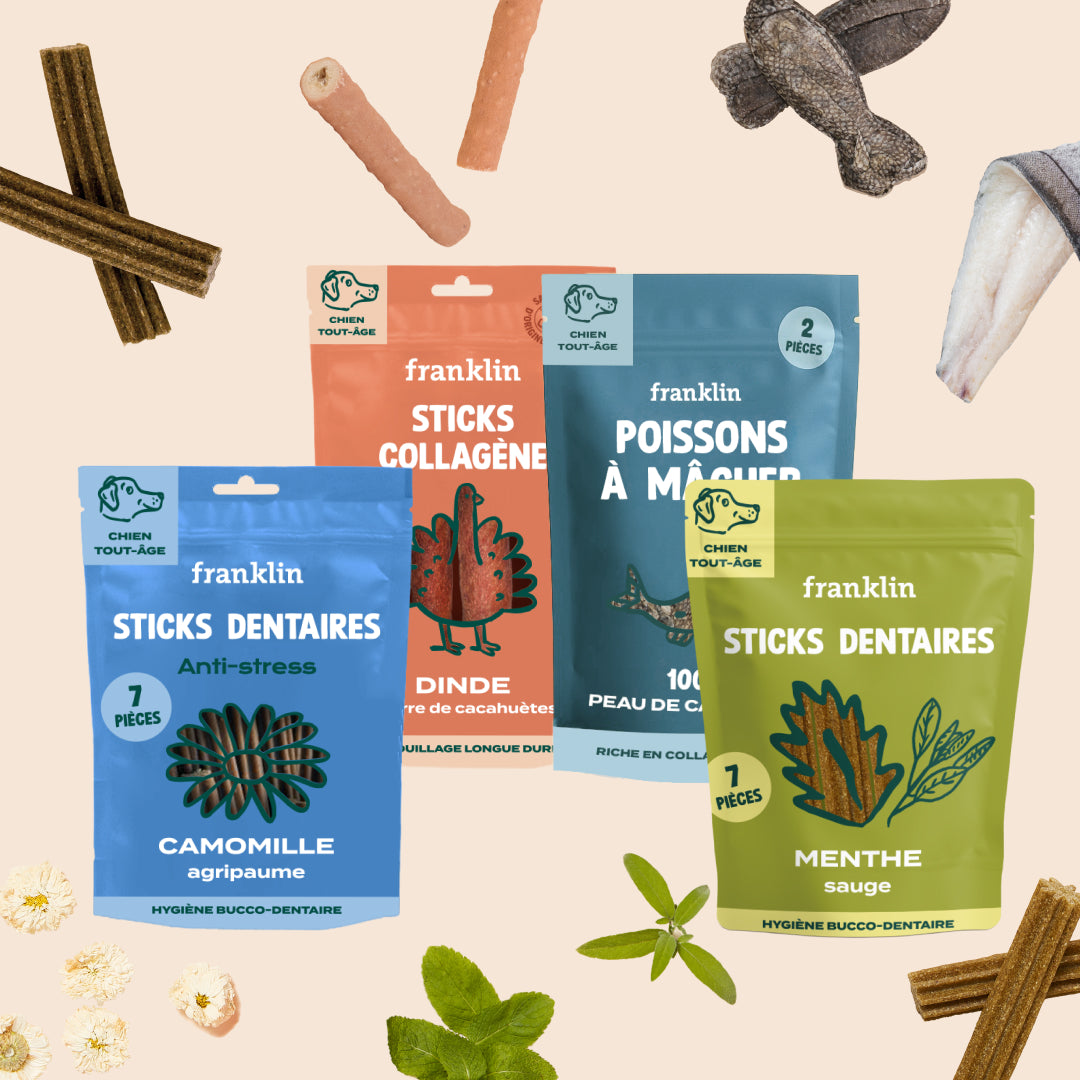 PACK DENTAIRE CHIEN