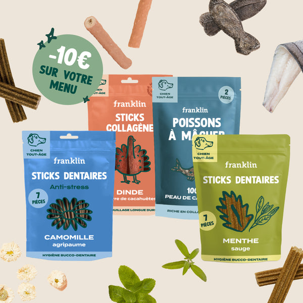 pack-dentaire-pour-chien