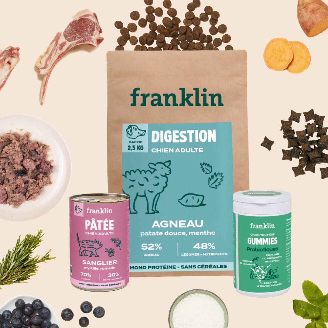 PACK DIGESTION CHIEN