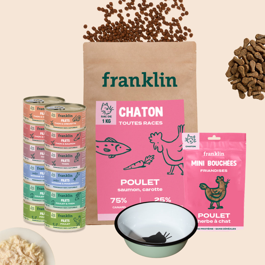 PACK DÉCOUVERTE CHATON