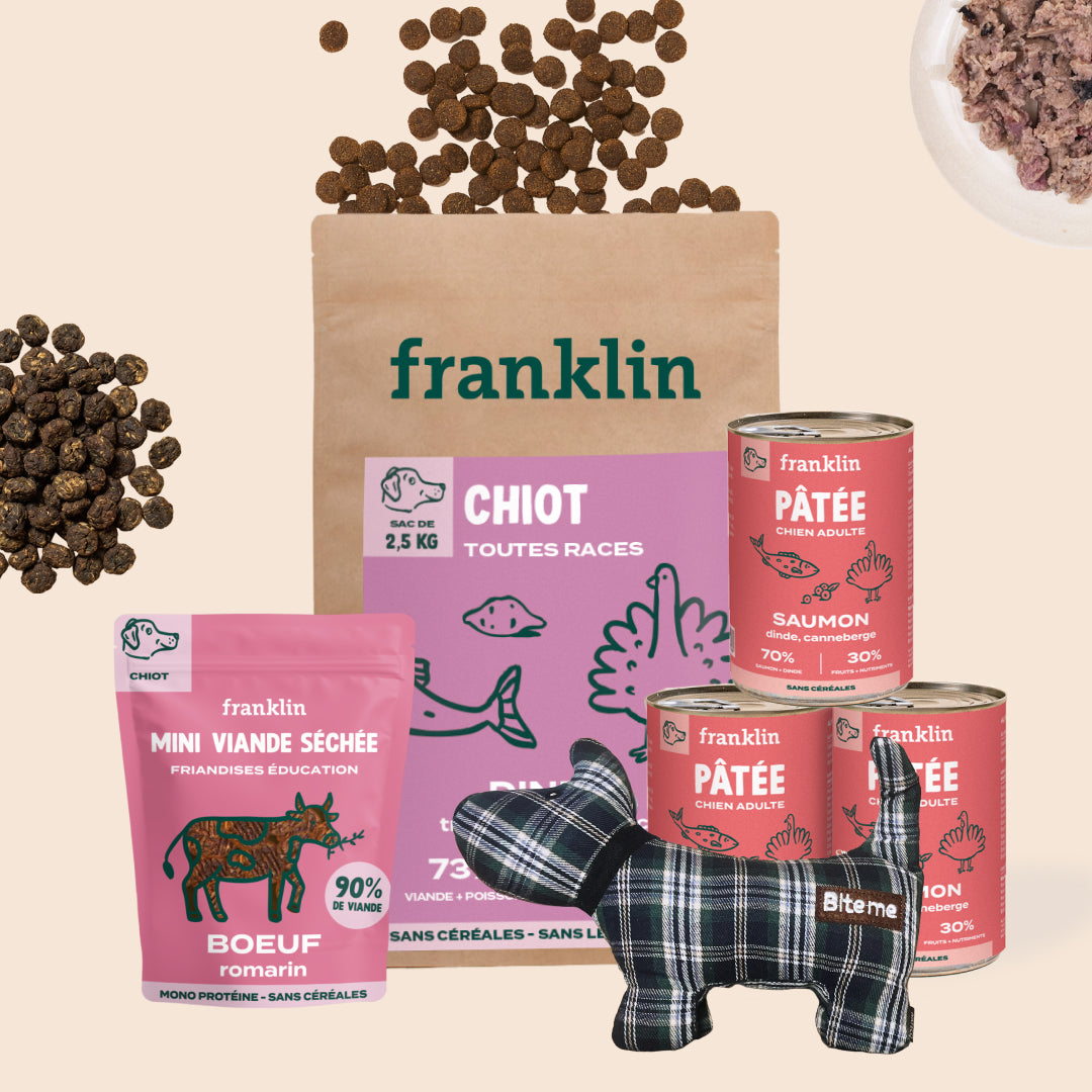 PACK DÉCOUVERTE CHIOT