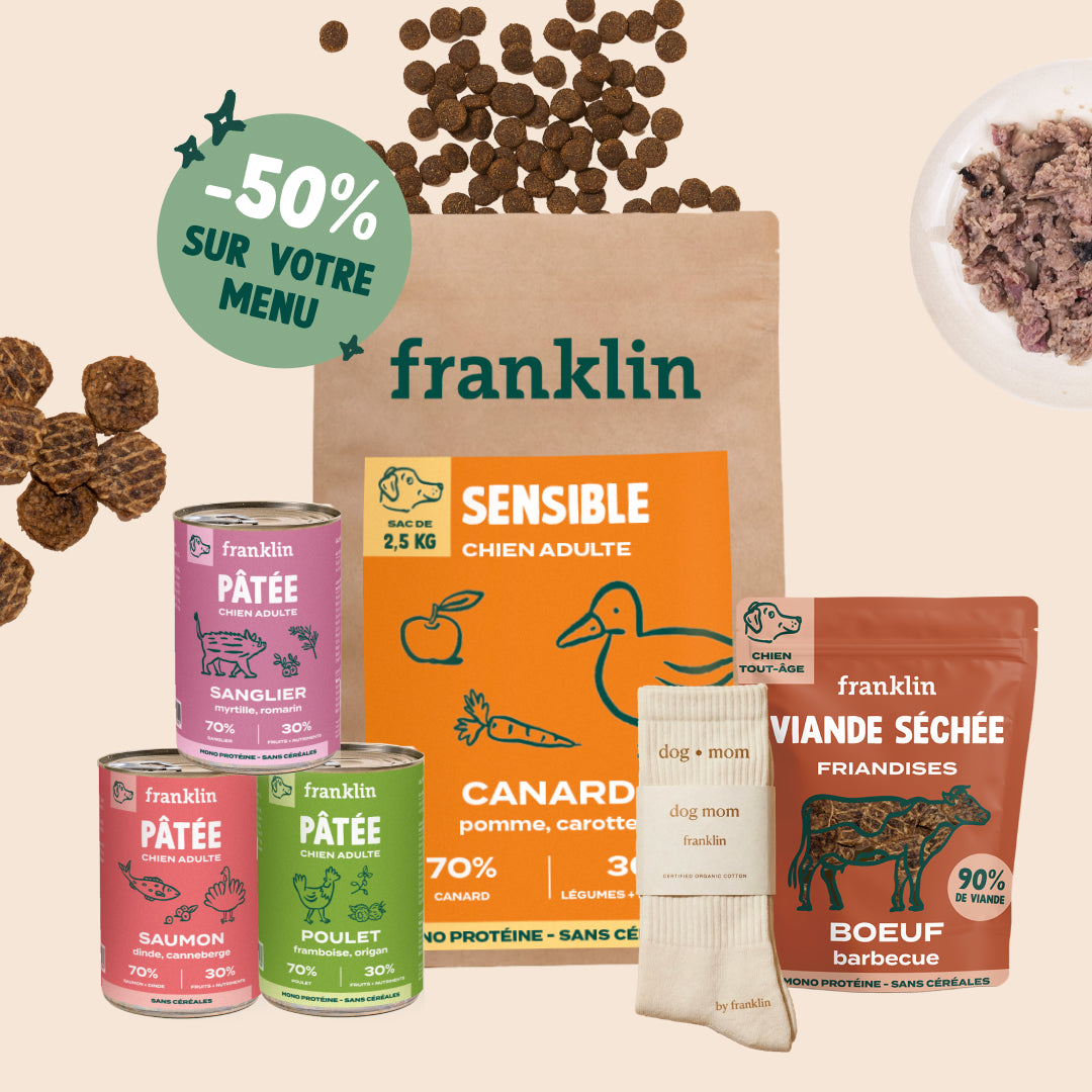 PACK DÉCOUVERTE CHIEN