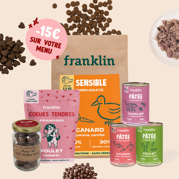 pack-decouverte-saint-valentin-chien