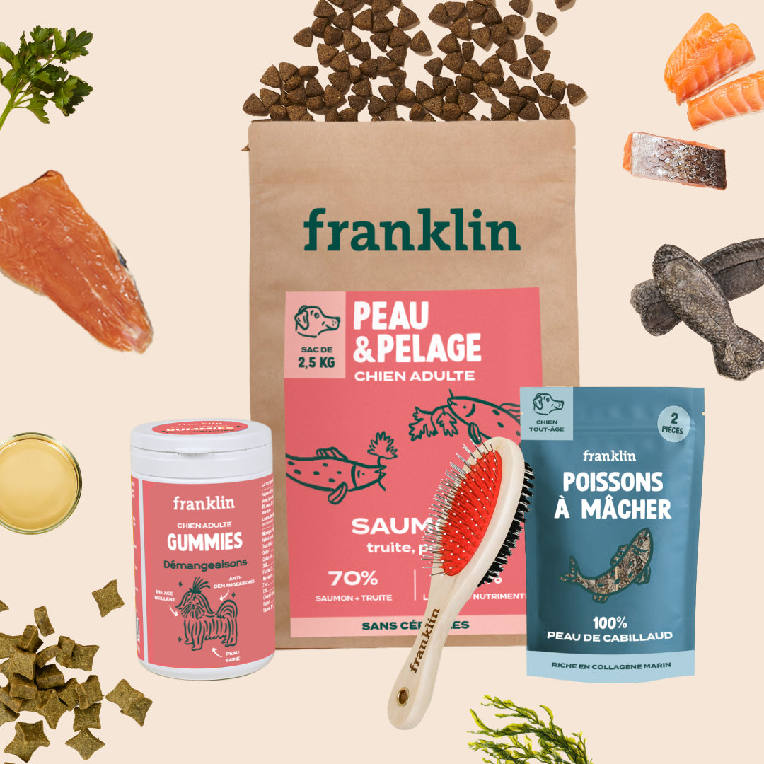 PACK PEAU SAINE CHIEN