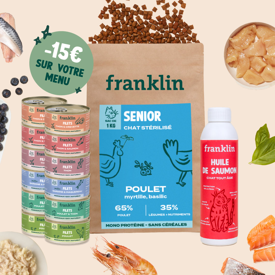 PACK POUR CHAT SENIOR