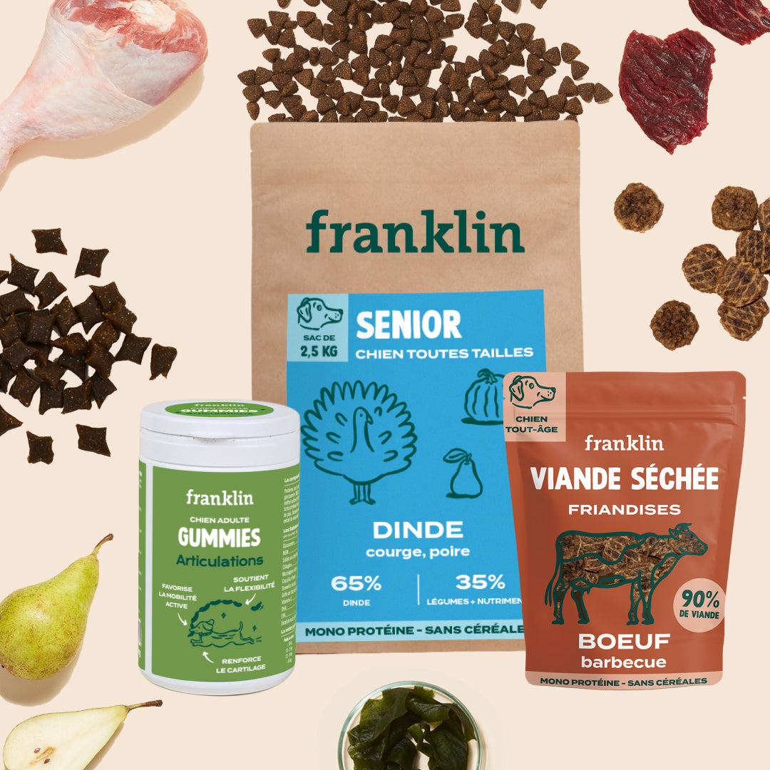 PACK CHIEN SENIOR