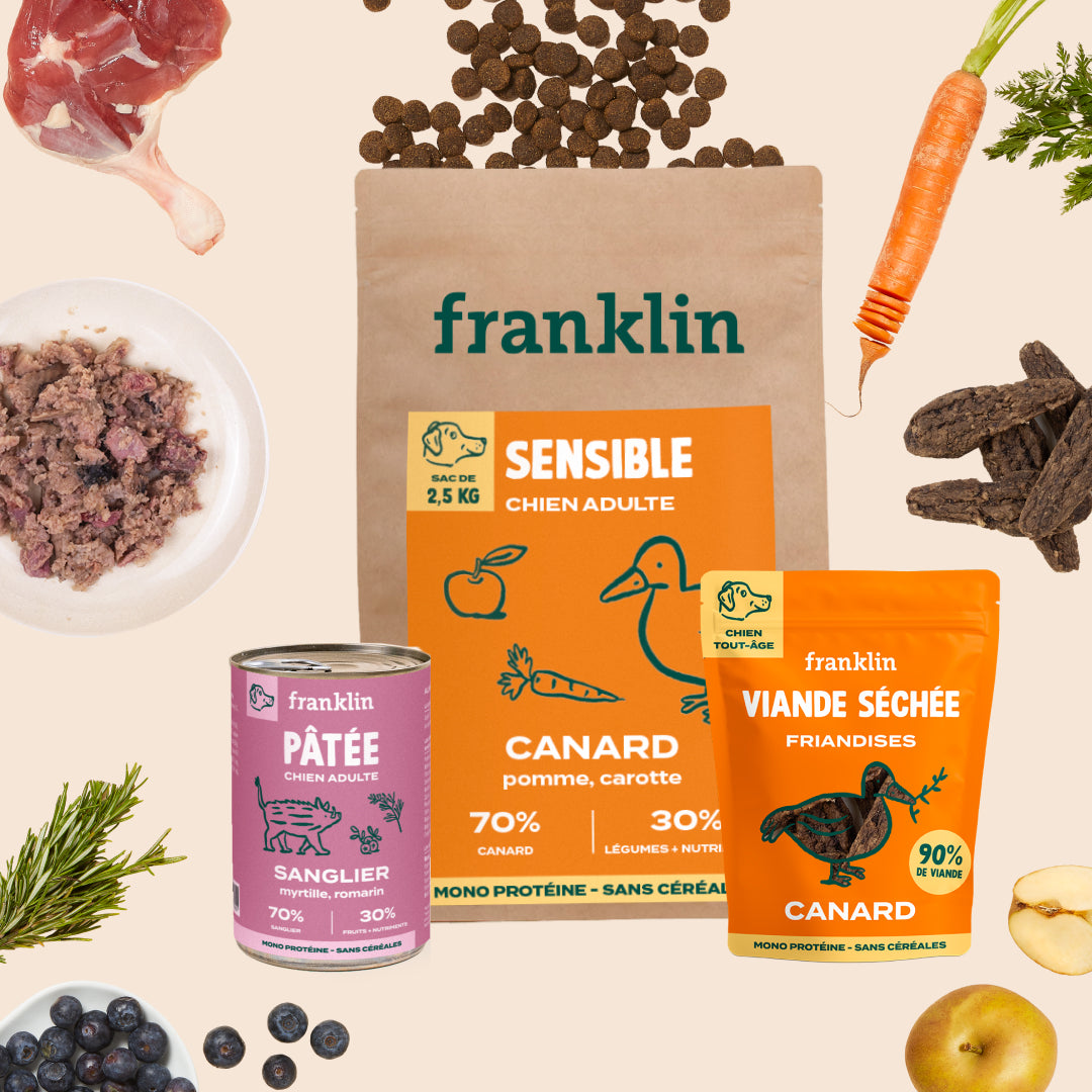 PACK ANTI-ALLERGIE CHIEN