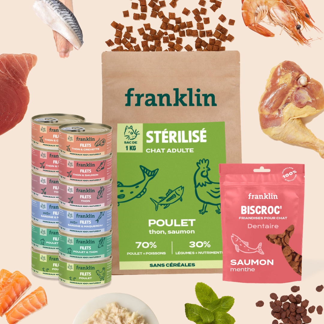 PACK CHAT STÉRILISÉ