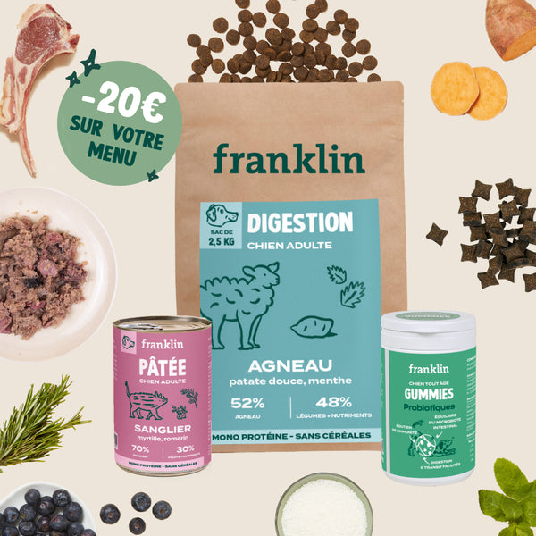 pack-digestion-pour-chien