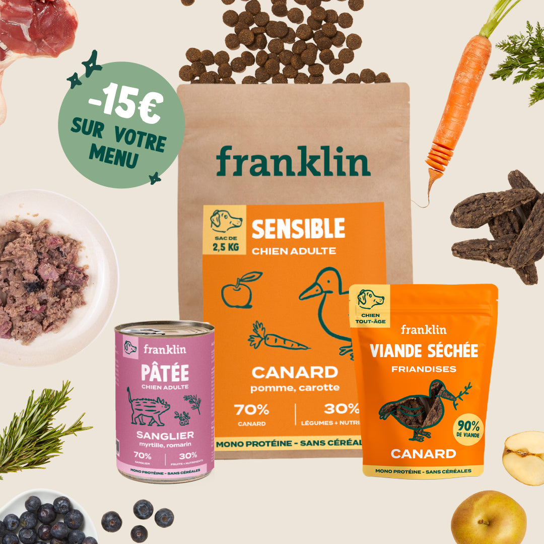 PACK POUR CHIEN ALLERGIQUE