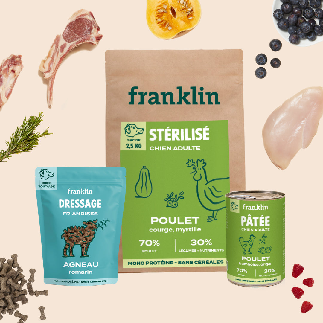 PACK CHIEN STÉRILISÉ