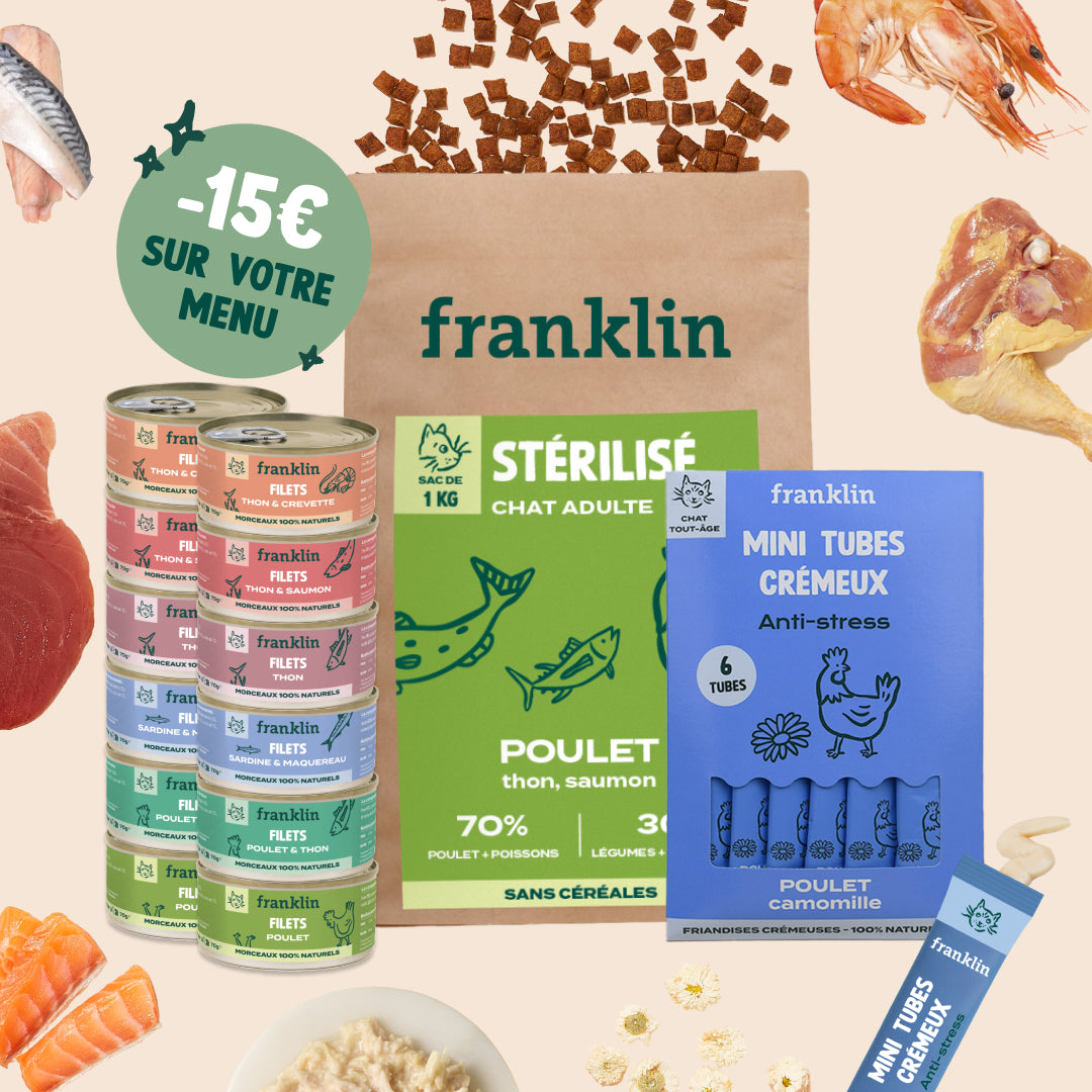 PACK POUR CHAT EN SURPOIDS