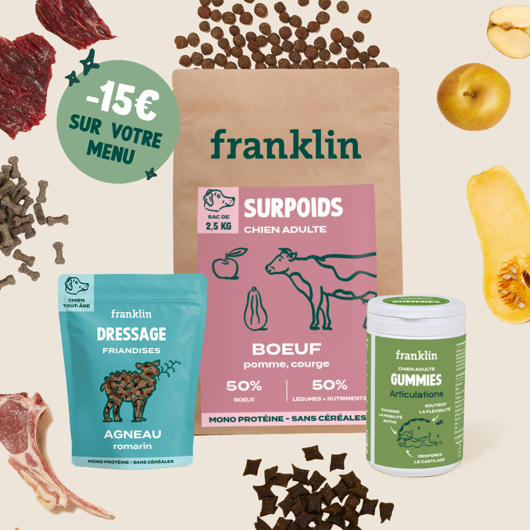 PACK POUR CHIEN EN SURPOIDS