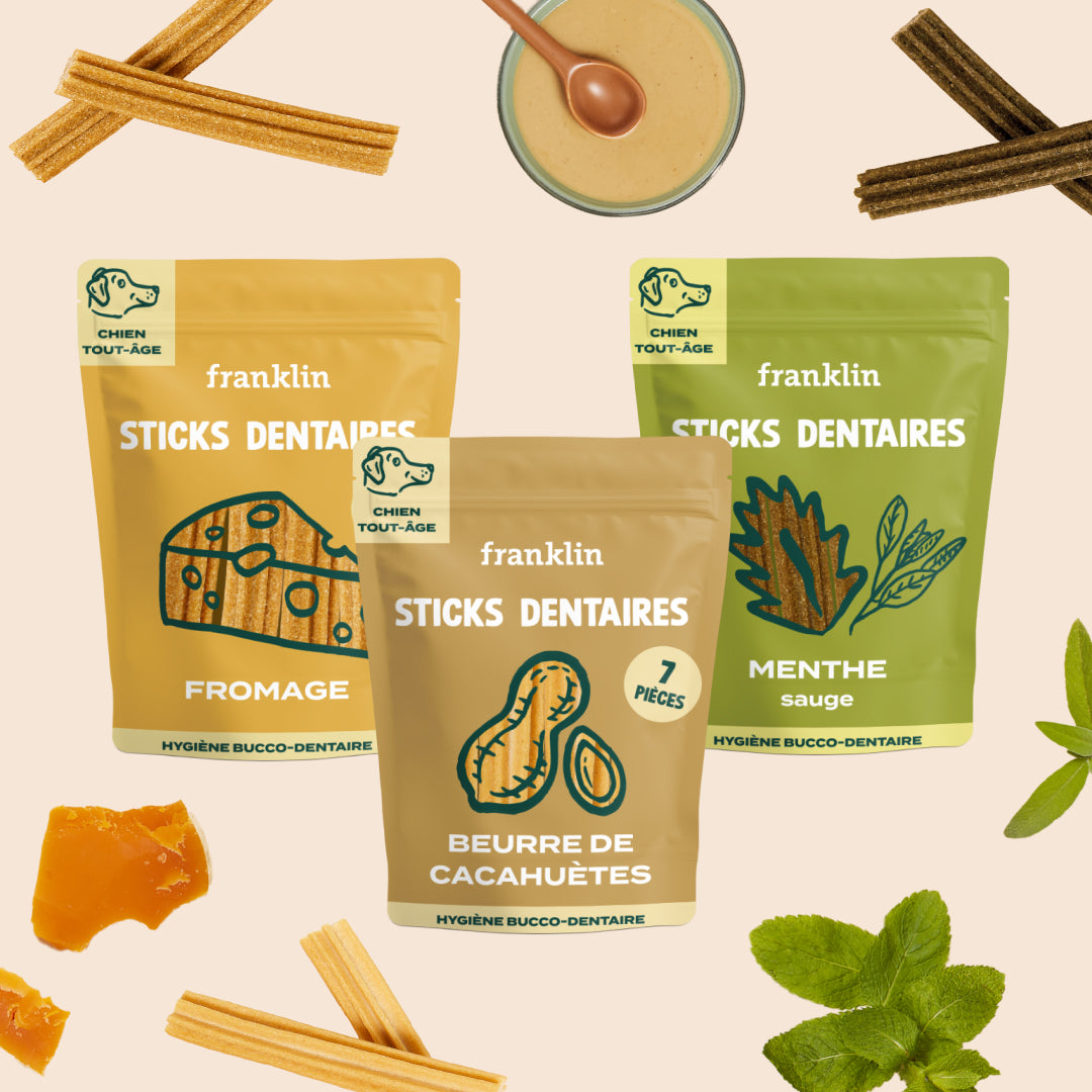 PACK DÉCOUVERTE STICKS DENTAIRES