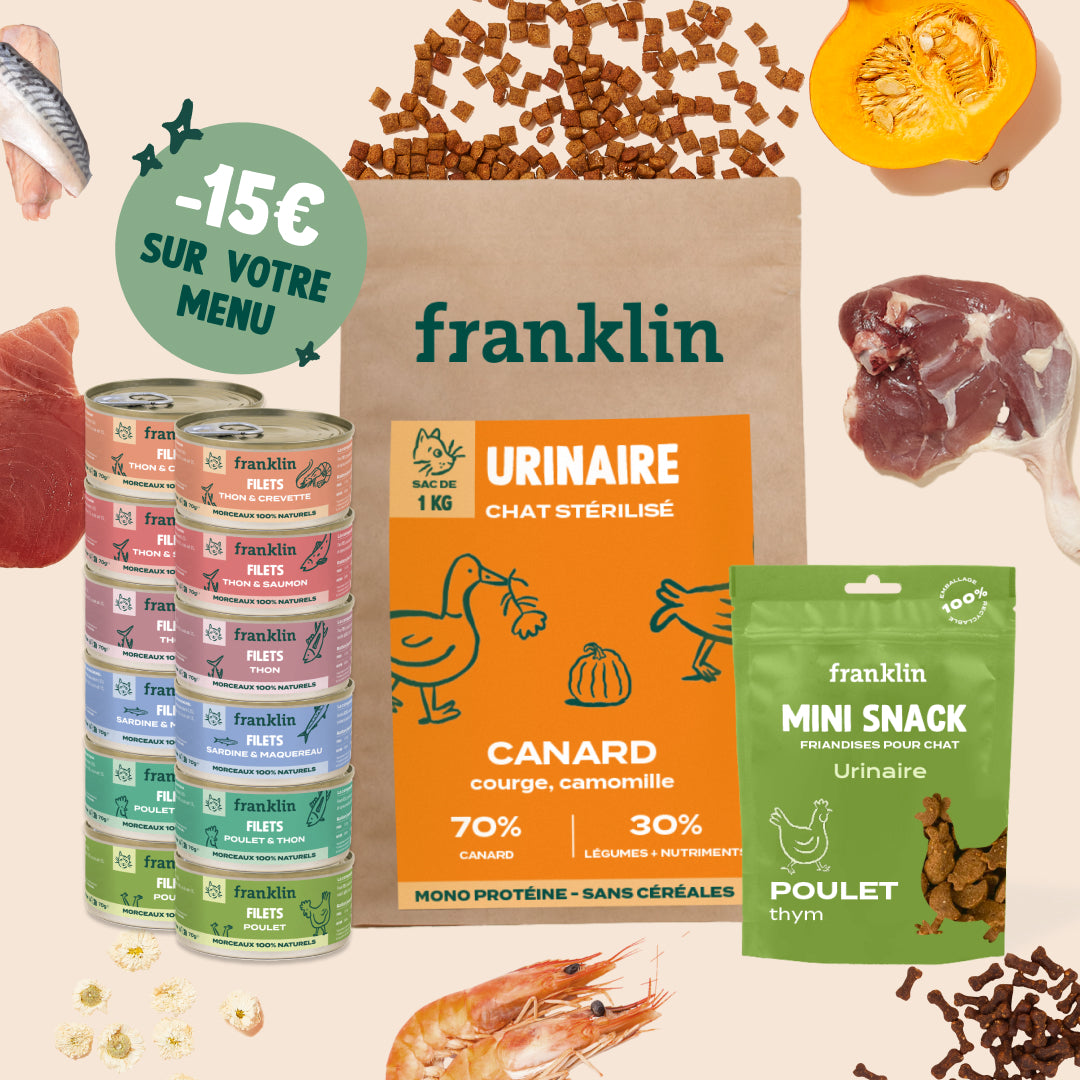 PACK TROUBLES URINAIRES POUR CHAT