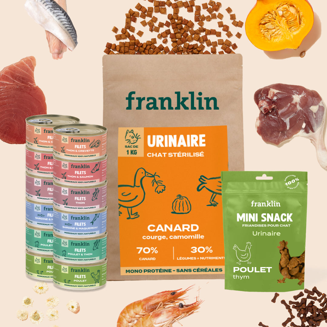 PACK TROUBLES URINAIRES CHAT