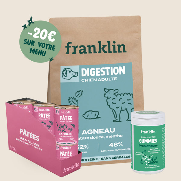 LOT DIGESTION CHIEN