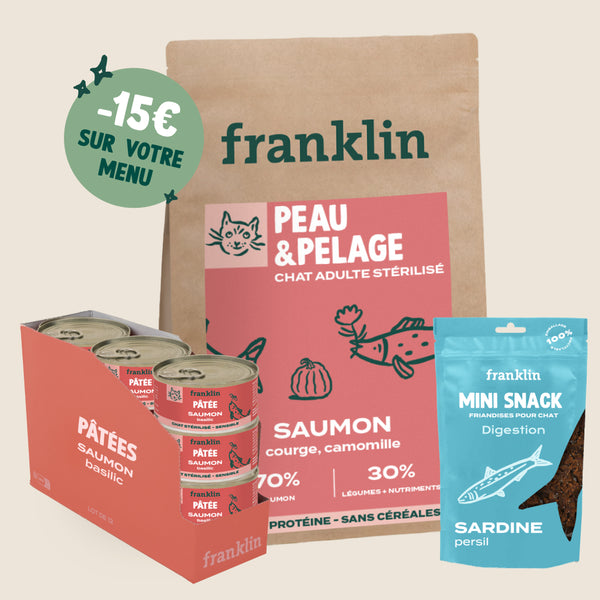 LOT HYPOALLERGÉNIQUE CHAT