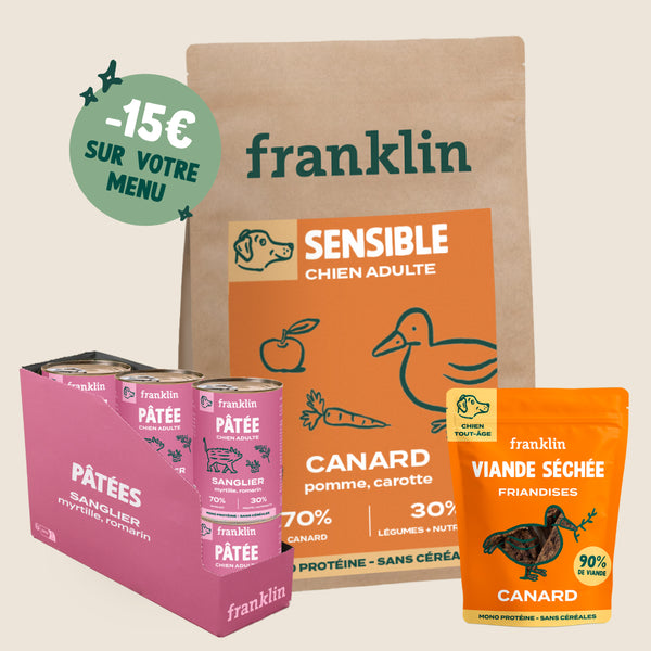 LOT HYPOALLERGÉNIQUE CHIEN