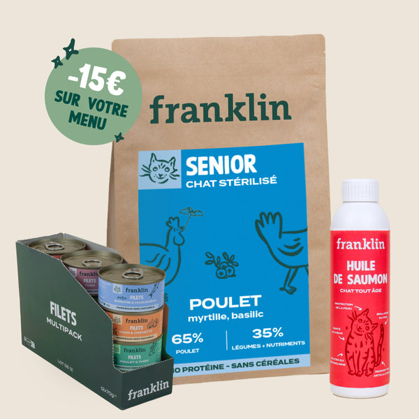 LOT SENIOR CHAT