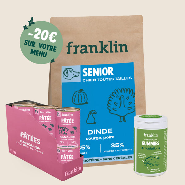 LOT SENIOR CHIEN